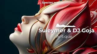 Suleymer & DJ Goja  - Antique -