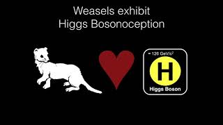 BAHFest East 2017 – Beth Bearce: A Fatal Attraction: Higgs Bosonoception in the Stone Marten