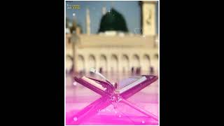 New Quran E Pak Tilawat Whatsapp Status #quranrecitation #ramzanmubarak #ramzanstatus #islamicstatus