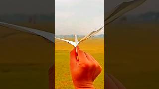 Flapping Bird Paper Plane DIY || #shorts