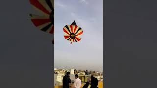 Pindi Basant full injoy kite flying pindi pindi hai