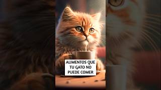 Alimentos que tu GATO NO Puede Comer #shorts