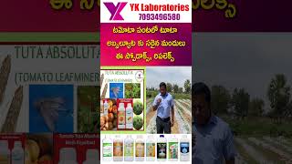 #Spodax #Replex #VaayuuYantra టమోటా పంటలో టూటా అబ్సల్యూట కు సరైన మందులు ఈ స్పోడాక్స్, రిపలెక్స్