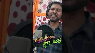 #New_Sad_Song #Panjuri_Bhitare_Sua_Sari #shorts #short