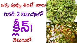 ఇది ఒక్క పువ్వు తింటే లివర్ 2 నిముషాల్లో క్లీన్.! | chinta chiguru pappu