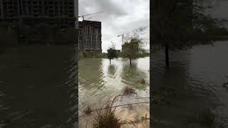 Dubai Park Totally Flooded!!! [short video] #dubaiflood #dubailife