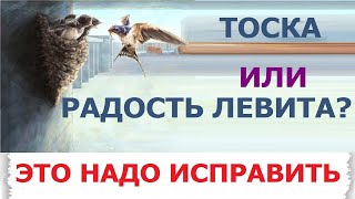 3.38 НХЖС, неделя 9-15.09.2024 г.. Тоска или радость левита? Свидетели Иеговы