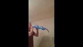 Blow to pop (b2p) 5ft long curly balloon