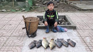 FULL VIDEO:30 days orphan boy set traps to catch fish and harvested agricultural products to sell