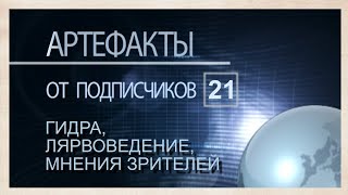 Артефакты от подписчиков 21  Гидра, Лярвоведение