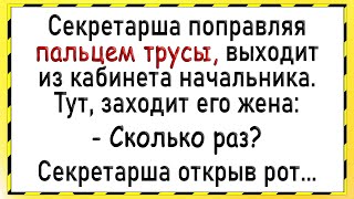 Как жена застукала мужа и секретаршу! Сборник свежих анекдотов! Юмор!