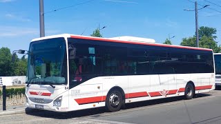 Iveco Crossway LE CITY 12M Ev.č.64 (DPMP)