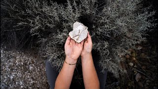 The story of McAbee Fossil Beds Heritage Site