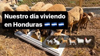 Video 7. Blog de nuestro día viviendo en Honduras 🇭🇳🇭🇳🇭🇳🇭🇳