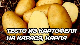 ТЕСТО ДЛЯ РЫБАЛКИ НА КАРАСЯ | КАРТОФЕЛЬНОЕ ТЕСТО НА КАРАСЯ, КАРПА, ПЛОТВУ ОСЕНЬЮ