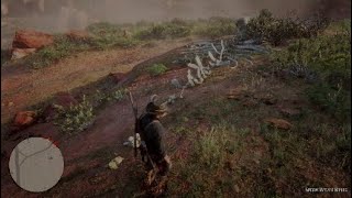 sperm whale bones location - RDR2