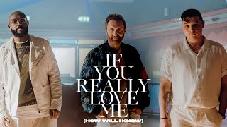 David Guetta x MistaJam x John Newman - If You Really Love Me (How Will I Know) [Official Video]