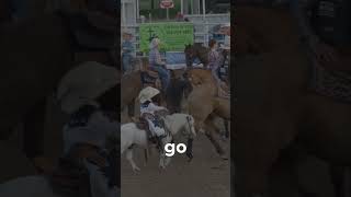 Dale Brisby Is At Your Local Rodeo