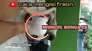 cara mengisi freon AC | AC tidak dingin | AC Daikin panas | mengisi freon AC Daikin | kerusakan AC