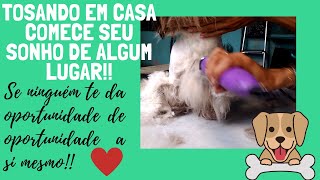 COMO GANHAR DINHEIRO TOSANDO PETS EM CASA