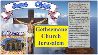 Sites - Jerusalem - Gethsemane Church 2020