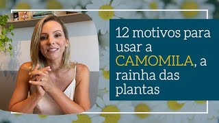 12 razões para usar a CAMOMILA como remédio natural