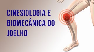 Cinesiologia e Biomecânica do Joelho