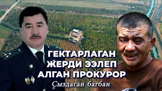 Айыл өкмөттүн алы жетпей, багбан ыйлап... Прокурор ээлеп алган бактын чыры/ Кара-Суу