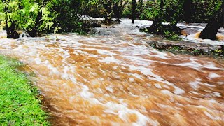 Bomb Cyclone Storm breaches bridge and floods pool // Beauty And The Yard