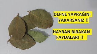 DEFNE YAPRAĞINI YAKARSANIZ !! ODANIZIN İÇİNDE KÜL TABLASINDA