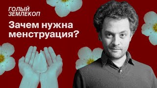 Как менструация защищает женский организм от эксплуатации | Илья Колмановский, «Голый землекоп»