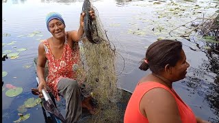 JULINHA E SUA FILHA PESCANDO NA LAGOA COM MUITOS JACARÉS E SUCURI