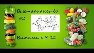 Вегетарианство #2. Витамин B12.