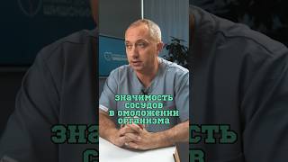 Почему важно укреплять сосуды?🤔 #Шишонин