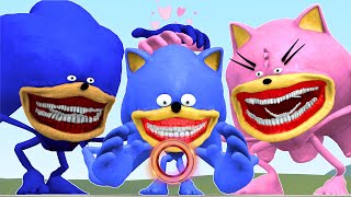 NEW THE BABY SONIC TAPES WAS BORN BY AMY & THE SONIC TAPES In Garry's Mod