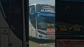 #Shorts /// Telolet basuri strowberry mangga apel kebalik ala bus Mamen Trans "Almeera" #busmania