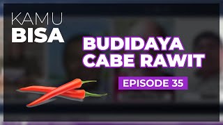 KAMU BISA "Budidaya Cabe Rawit" - Episode 35