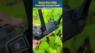 Drone Murah Murah Camera Pro2