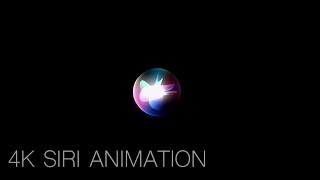 4K Siri Visual Animation 5 Minutes