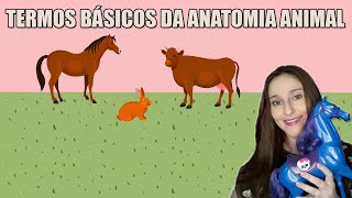 Aprenda o básico da Anatomia Animal