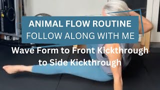 15 Minute Animal Flow - Follow Along With Me