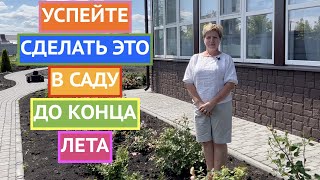 ГЛАВНЫЕ ПОДКОРМКИ, ОБРАБОТКИ И ОБРЕЗКИ АВГУСТА