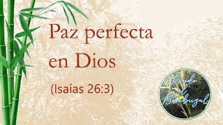 Paz perfecta en Dios (Isaías 26:3) (Meditación)