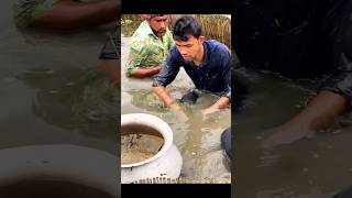 বানা বের থেকে সুন্দর মাছ ধরার ভিডিও। #shorts , #fishingvideo #viralshorts .