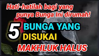 Hati-hatilah bagi yang punya Bunga Ini! 5 Bunga Ini Dapat Mengundang Jin dan Makhluk Halus lainnya