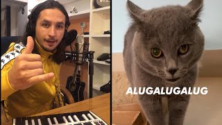 The Kiffness X Alugalug Cat 2.0 (Please Go Away)