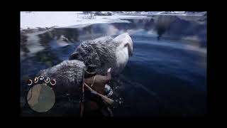 Legendary White Bison is DROWNED!!!  | Red Dead Redemption 2