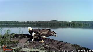 eaglecam 4