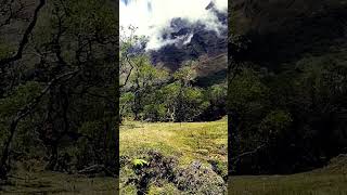 Hanyut Di Lembah Lohe #shorts #shortvideo #exploregunung #mountain #adventurer #mountainclimber