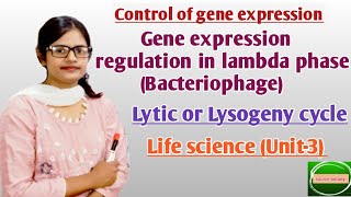 Gene expression regulation in lambda phase (bacteriophage) | Lytic or Lysogeny cycle |LIFE SCIENCES